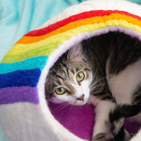 Rainbow Sherbet Stripe Oopabed Self-Heating Pet Bed