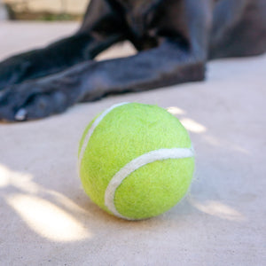 Tennis Wool Ball Toy